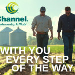 ChannelSeed-300×250